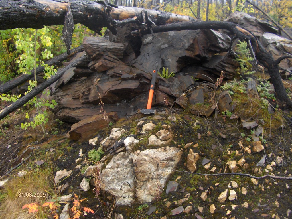 Pale intrusive granodiorite meets the dark coloured Earn Group country rock.