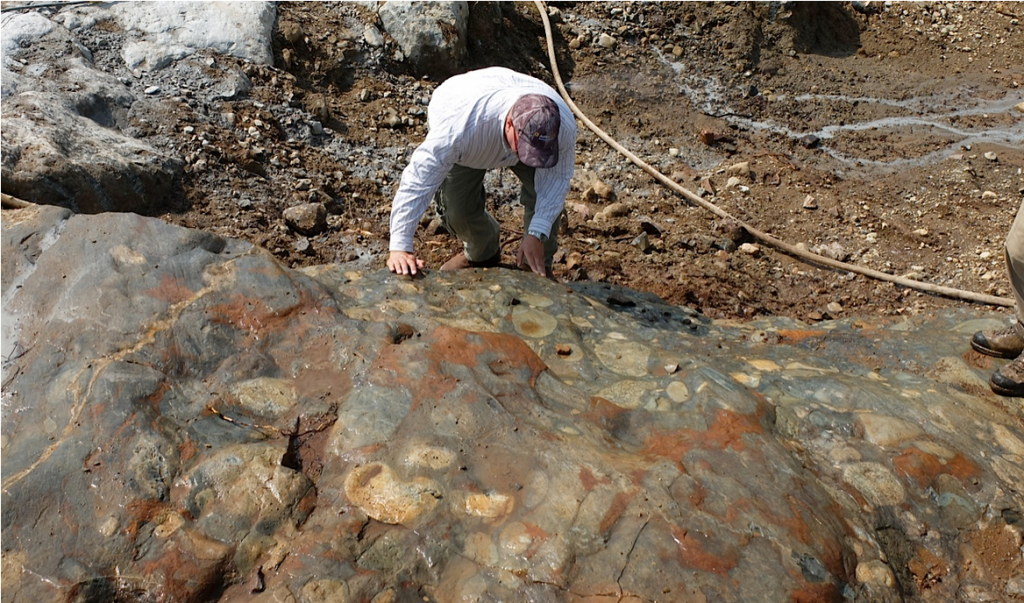 Gold-bearing conglomerate