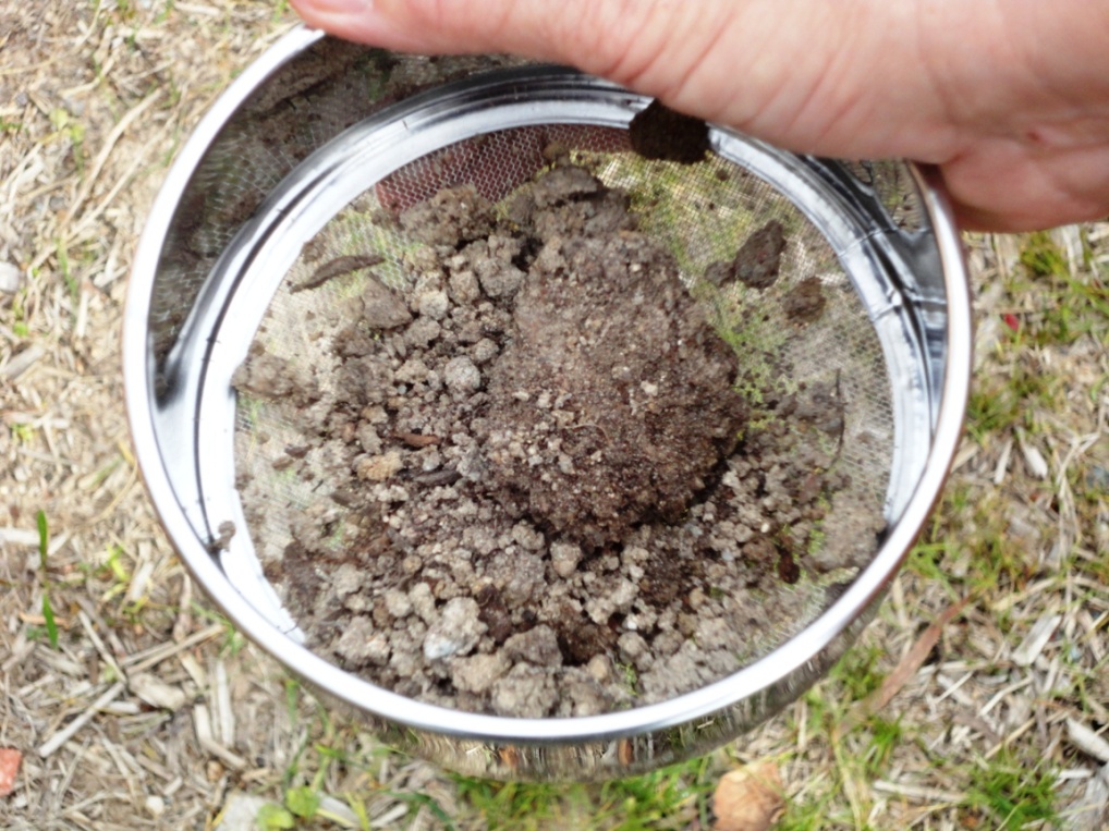 soil-sample